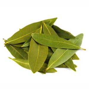 Bay Leaf