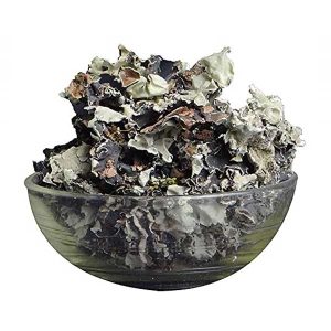 Black-Stone-Flower