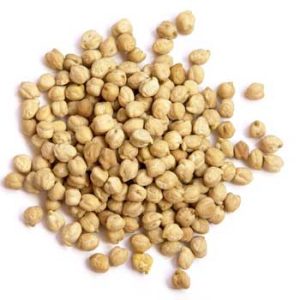 Chickpea