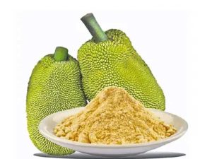 Jackfruit Powder