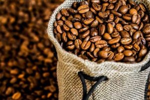 arabica coffee